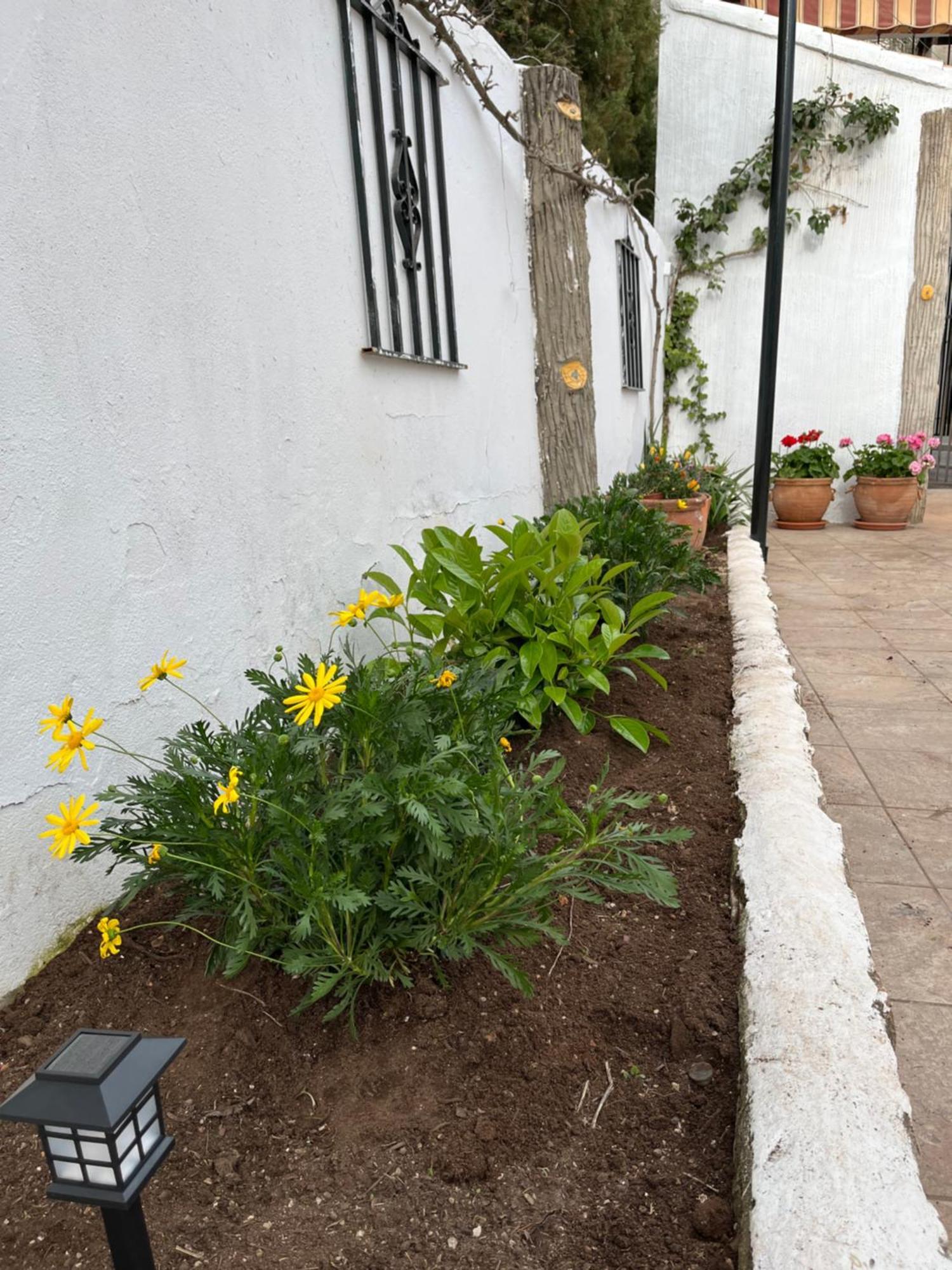 Casa Rural Abuelo Raimundo Осса-де-Монтьель Экстерьер фото